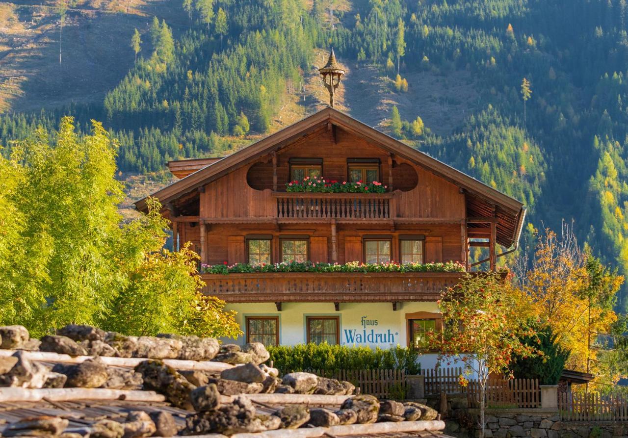 Gaestehaus Waldruh Brandberg Екстериор снимка