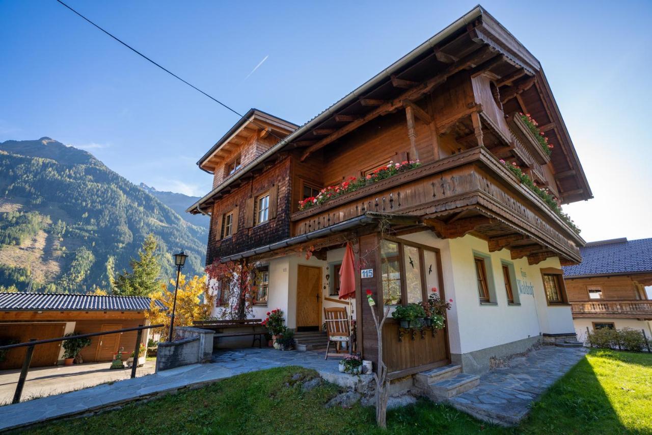 Gaestehaus Waldruh Brandberg Екстериор снимка